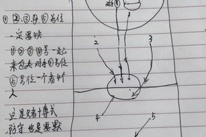  如何找到专业的篮球战术训练课程？全面指南与策略分析